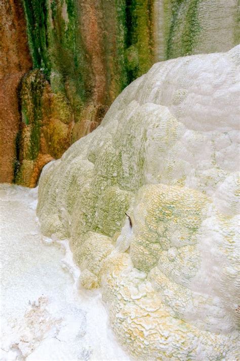 Kawah Putih Tinggi Raja White Crater Stock Image Image Of Sulfur