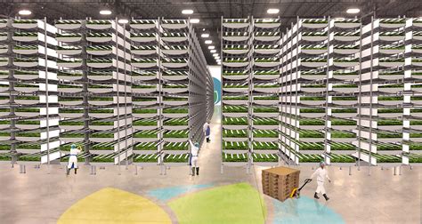 Worlds Biggest Indoor Vertical Farm Near Nyc To Use 95 Less Water