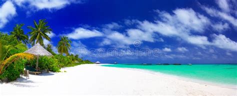 Panorama Of Beautiful Beach On Maldives Stock Photo Image Of