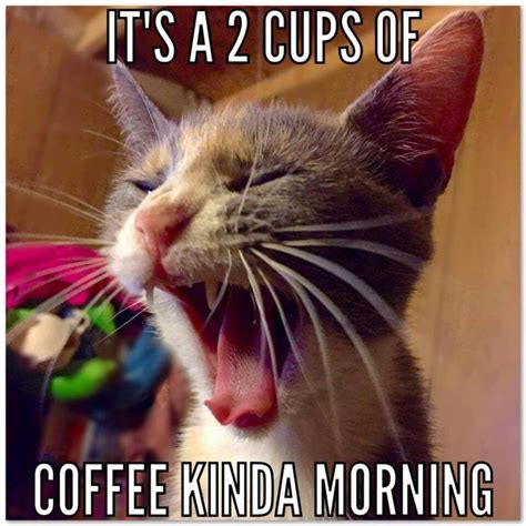 Coffee Talk Cat Coffee I Love Coffee Friday Coffee Quotes Funny