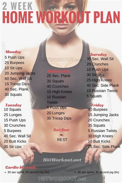 Choose any day/time that suits you. 2 Week Workout Plan at Home | Weekly workout plans, 2 week ...