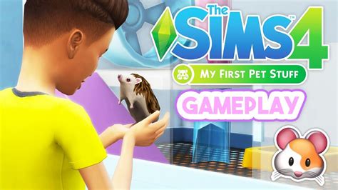 Cute Little Hedgehog🦔 My First Pet Stuff🐹 Gameplay Overview The