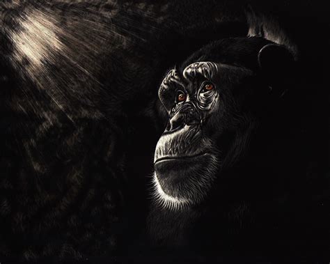 Chimpanzee Painting Art Monkeys Black And White Snout Glance