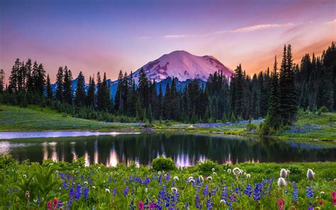 Download Usa Lake Flower Sunset Landscape National Park Nature Mount