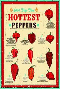 The Top 10 Peppers Poster Lists The Peppers Of 2014 Using