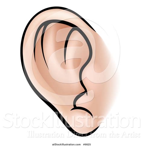 Vector Illustration Of A Human Ear By Atstockillustration 9825