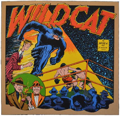 Wildcat Ted Grant Splash 47a Wild Cats Dc Comics Artwork Golden Age