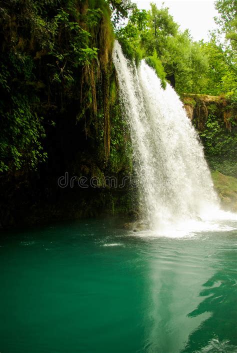 Waterfall Cascades From Ravine Stock Photo Image Of Rocks Natural
