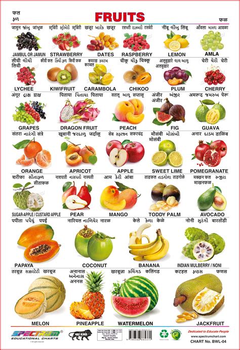 Fruit Names With Pictures In English And Hindi