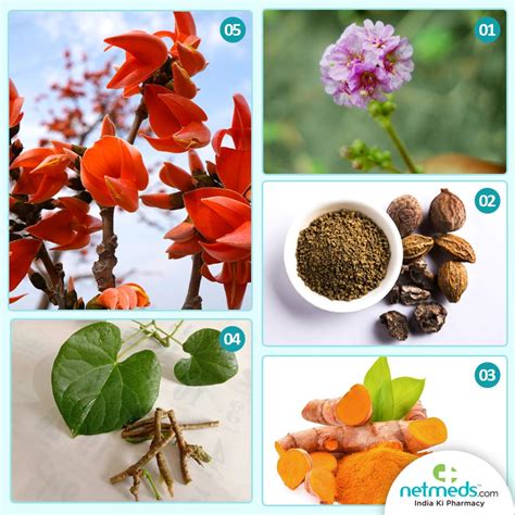 World Kidney Day 2021 7 Astonishing Ayurvedic Herbs To Uplift Renal