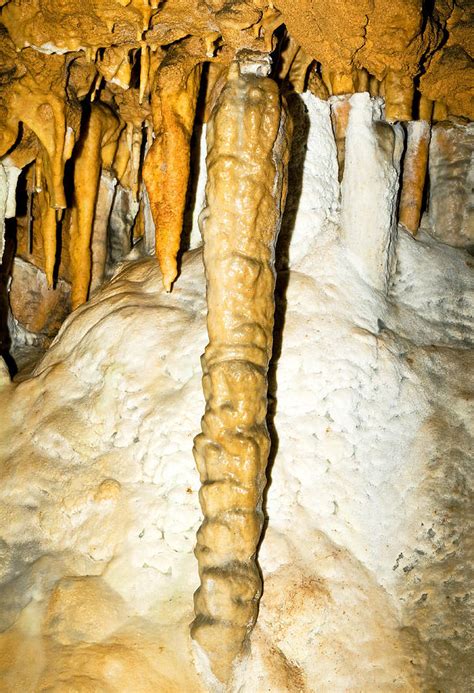 Limestone Column In Florida Caverns Photograph By Millard H Sharp