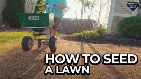 How To Seed A Lawn Like A Pro Full 10 Step Guide Youtube