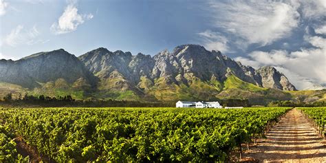 Holden Manz Wine Estate Near Franschhoek Western Cape South Africa