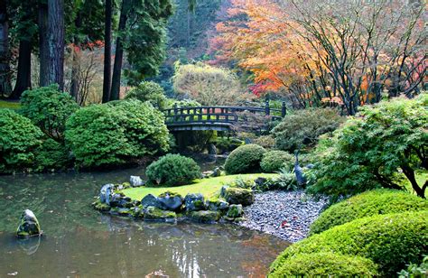 Tea Garden Garden Plants Stepping Stone Paths Portland Japanese