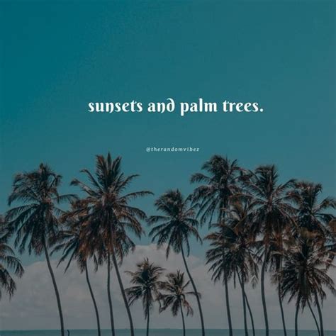70 Palm Tree Quotes And Captions To Inspire You Instagram Palm Tree