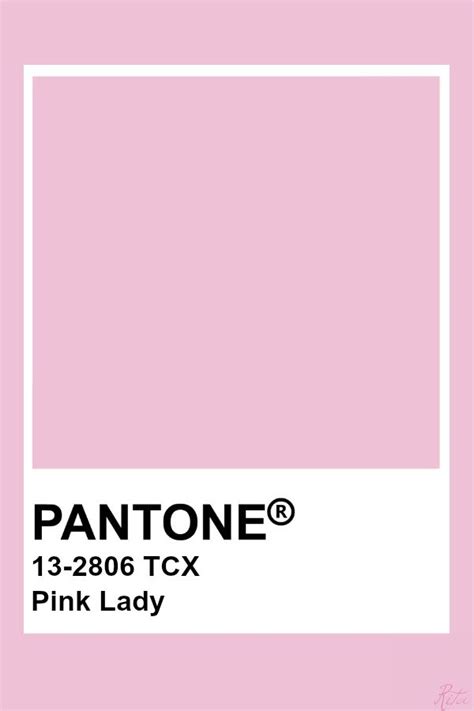Pantone Pink Lady Pantone Pink Pantone Colour Palettes Pantone Color