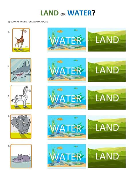 Land Or Water Interactive Worksheet Worksheets Interactive Animal