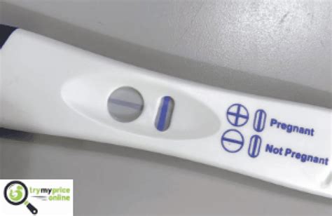 Rexall Pregnancy Test Faint Line And What May It Mean Try My Price Online