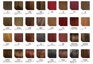 Color Charts Boss Trendz Beauty Supply