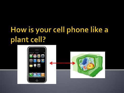 See more ideas about cell analogy, analogy, cell. Cell analogy