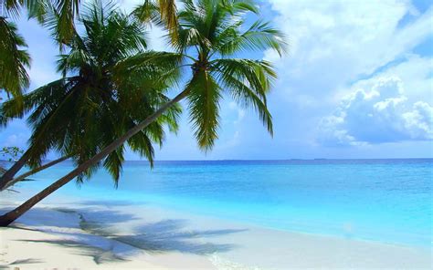 Paisaje De Playa De Maldivas 09 Fondo De Pantalla Hd Smartresize