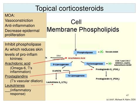 Ppt Topical Corticosteroids Powerpoint Presentation Id192741
