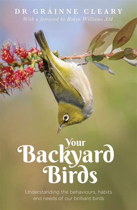 Your Backyard Birds Dr Grainne Cleary 9781760297350 Allen And Unwin