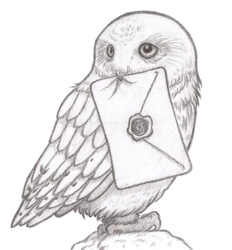 Check spelling or type a new query. Résultat de recherche d'images pour "hedwige dessin ...