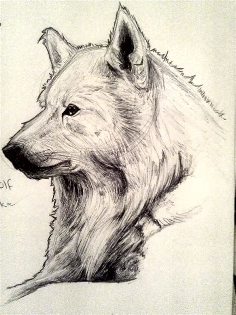 Dire Wolf By Mytoothless On Deviantart