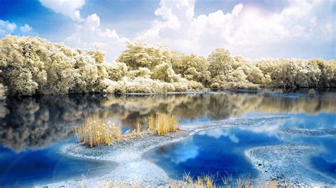 Download 1920x1080 Hd Wallpaper River Forest Frost