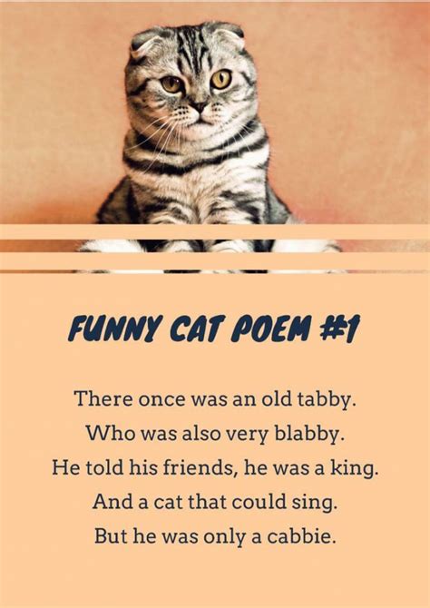 16+ Cat Poems For Kids To Read ?? | Imagine Forest
