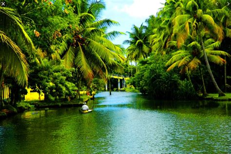 Kerala To Welcome Tourists From Early October Here Are Top 5