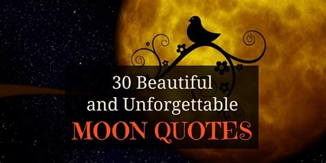 Dad would like to find the madman and bring him back to the farm. 30 Beautiful and Unforgettable Moon Quotes | SayingImages.com