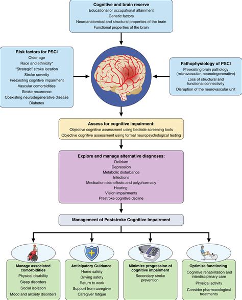 Cognitive Impairment After Ischemic And Hemorrhagic Stroke A