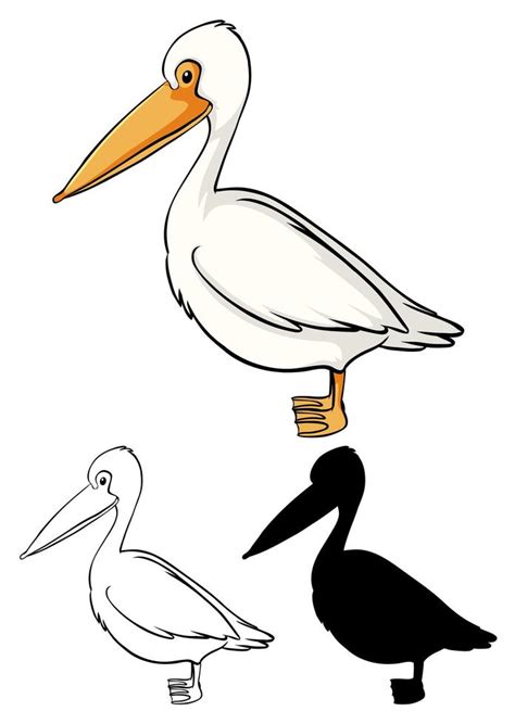 Set Of Pelican Cartoon 1234920 Vector Art At Vecteezy