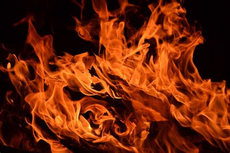 Flame Fire Embers Log · Free Photo On Pixabay