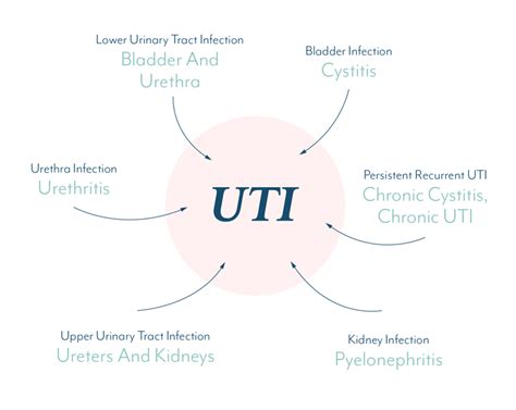 What Causes A Urinary Tract Infection How Do You Clear Uti