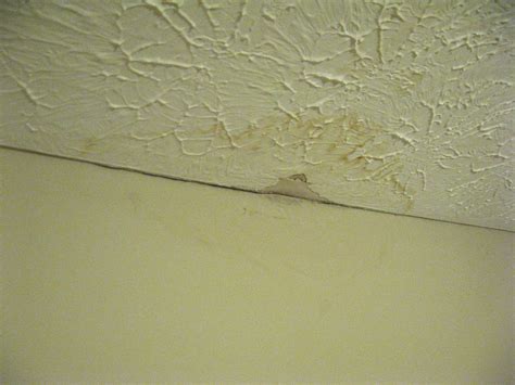 What To Do When The Ceiling Of Your Apartment Leaks Starproperty