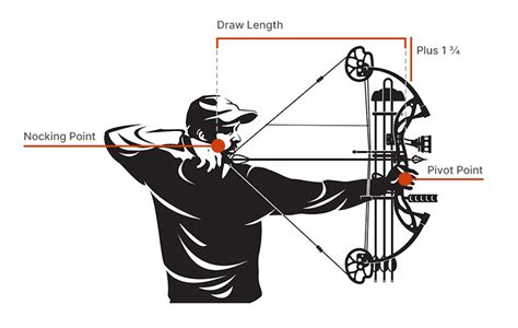 Bow Draw Length Chart Sportsmans Warehouse
