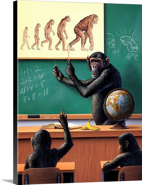 A Humorous View Of The Reverse Evolution Of Man Wall Art Canvas Prints