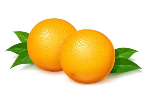 Royalty Free Two Oranges Clip Art Vector Images And Illustrations Istock