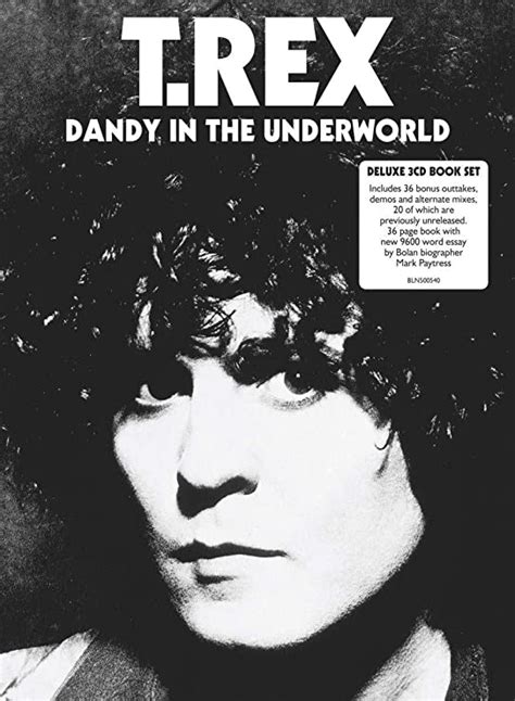 Amazon Dandy In The Underworld T Rex 輸入盤 音楽
