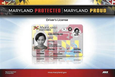 It is composed of two sections: New Maryland flag-themed driver's licenses available ...
