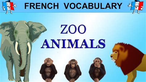 French Vocabulary Zoo Animals In French French Vocabulary