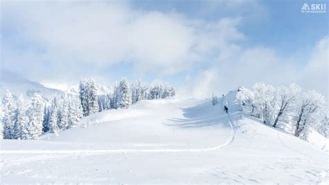 Zoom Backgrounds Free Ski