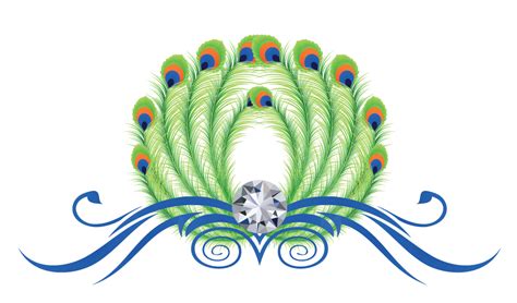 peacock feather png free download on clipartmag