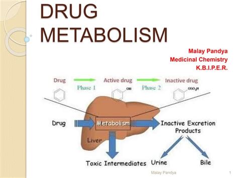 Drug Metabolism Ppt