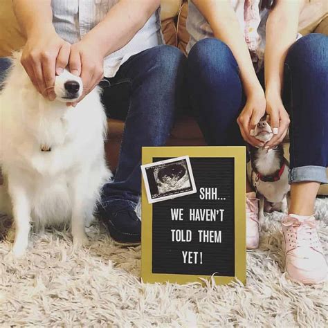 27 Awesome Ways To Announce Your Pregnancy On Social Media