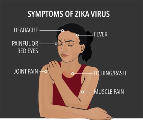 Wie gefährlich ist das Zika Virus Meine Wissensquelle