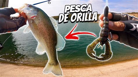 Pesca De Lobinas De Orilla Youtube